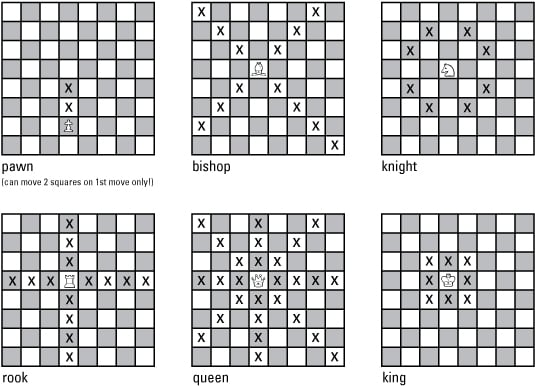 Chess Pieces Names, Moves & Values 