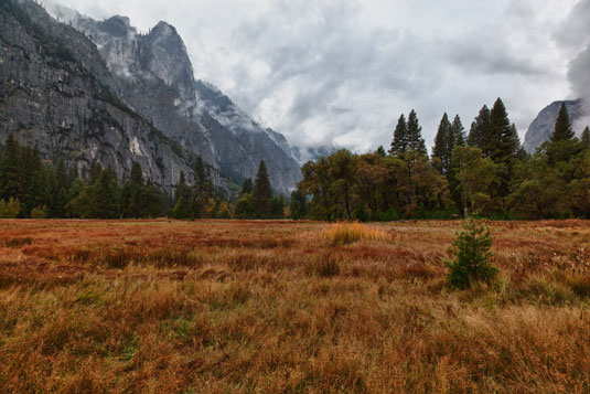 Shoot Nature Photographs On A Cloudy Day Dummies