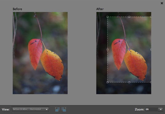 Drag inside the image to specify the crop area.