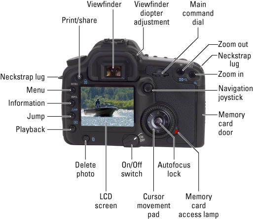 Digital SLR Camera Controls on the Back - dummies