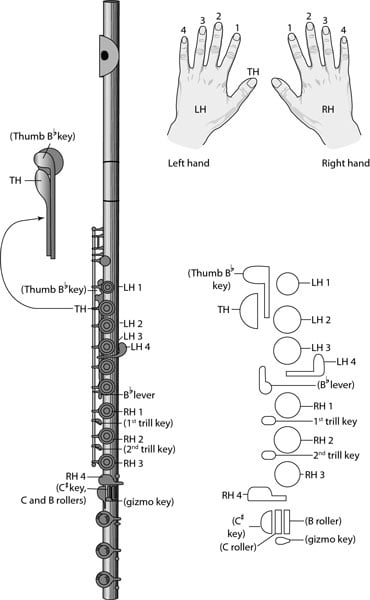 Flute Chart For Beginners