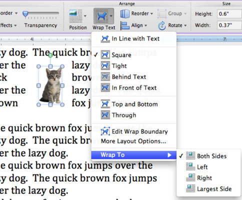 How To Wrap Text Around Objects In Word 11 For Mac Dummies