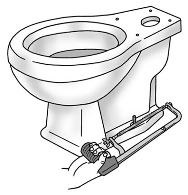 remove toilet tank bolts