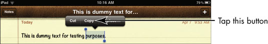 Tap the Copy or Cut button.