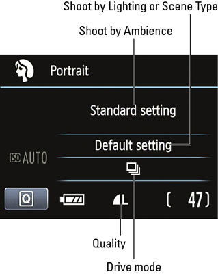 settings canon camera eos t3 rebel mode scene series dummies adjust following quick control using