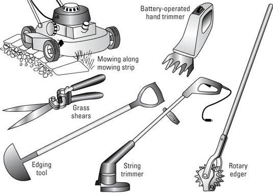 How Trim Your Lawn dummies