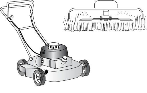 Riding Lawn Mower Vs Push Lawn Mower: Which Is Right For Your Home?