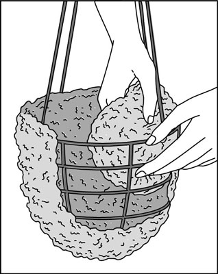 Loosely fill the basket with soil to just below the moss level, and then resume lining the sides with moss.