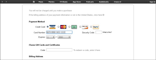 Enter your payment information and click the Continue button.
