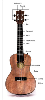 Anatomy of a Ukulele - dummies