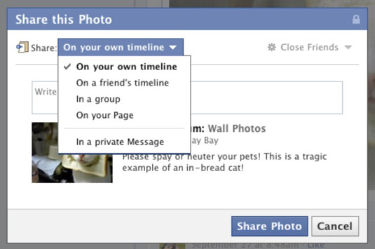 How to Use Facebook's Timeline Share Box - dummies