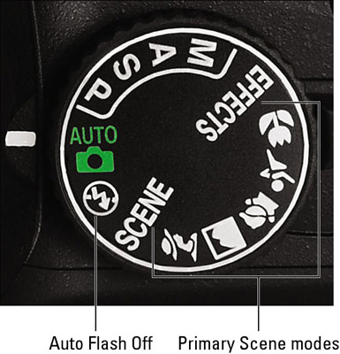 Choosing an Exposure Mode for a Nikon DSLR - dummies