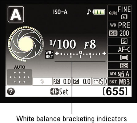 White Balance Bracketing 2025