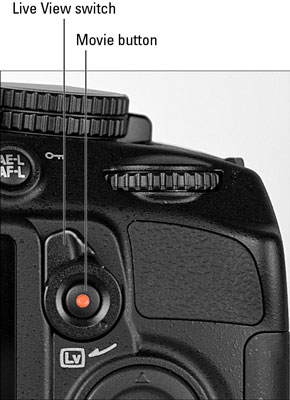 The Live View button in a Nikon 3100 DSLR camera