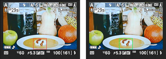 You can use the multi selector to move the focusing frame in the display screen of a Nikon. 