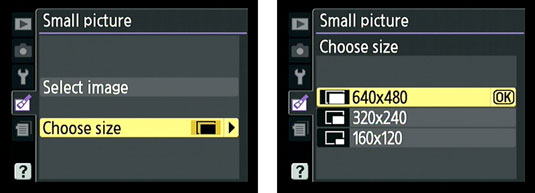 Selecting the size of small images in a Nikon camera.