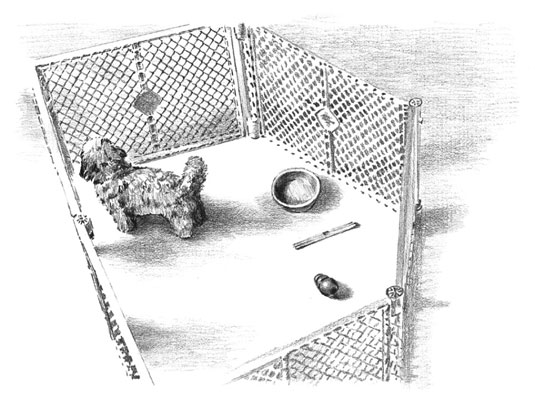 A playpen is a safe and portable place for your puppy to stay. [Credit: Illustration by Barbara Fra