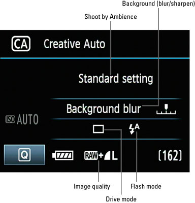 Chức năng Creative Auto trên máy ảnh Canon EOS 60D sẽ giúp cho bạn tự tin hơn khi chụp ảnh bằng cách tự động điều chỉnh các thông số và cách sử dụng các hiệu ứng khác nhau. Hãy xem ngay bức ảnh kèm theo để tìm hiểu thêm về chức năng hữu ích này trên Canon EOS 60D. 