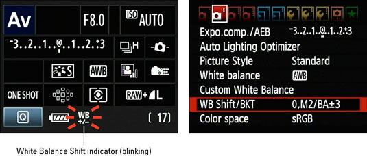 how to set custom white balance on canon 60d