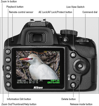 Get to Know the Controls on Your Nikon D3200 Digital Camera - dummies