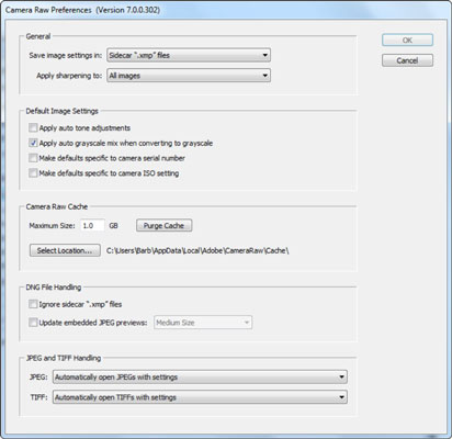 camera raw settings