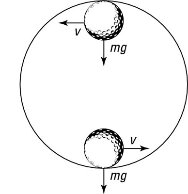 The force and velocity of a ball on a circular track.