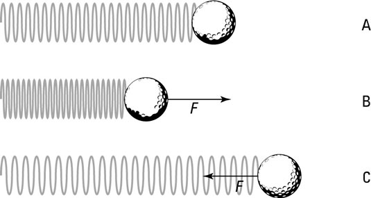 The  direction of force exerted by a spring.