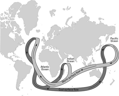 Patterns of Ocean Circulation  dummies