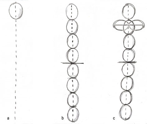 Draw in seven more ovals stacked along the line of symmetry. Draw a horizontal line four heads down to represent the hips or crotch.