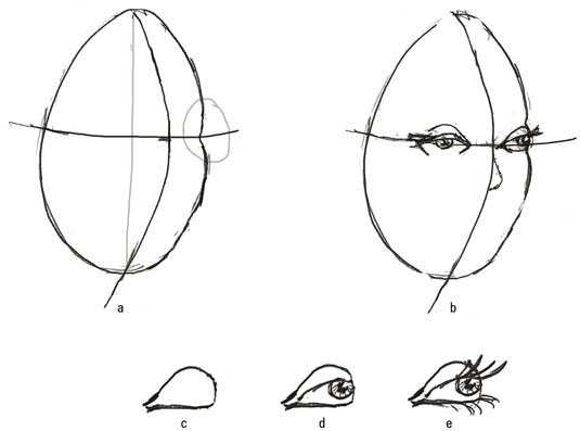 Draw three-quarter-view eyes.