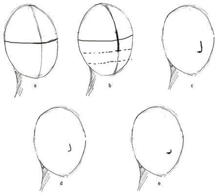 Draw the nose in three-quarter view.