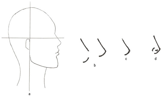 Draw the nose in profile view.
