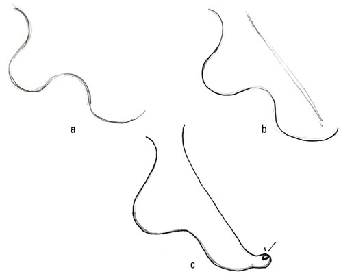 To create a high arch for dainty lady feet, draw a rolling curve for the heel, arch, and ball of the foot.