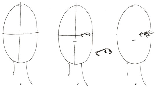 To create simple eyes from the front view, start by drawing an oval with a face grid.