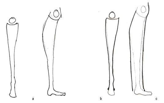 Draw a leg from the knee down and draw the bottom half of the pants from the knee down.