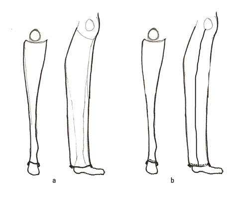 Draw a curved line up and over the foot where you want your pants to end, connecting the two sides of the pant leg.