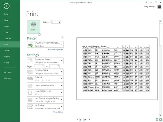 How to Print in 2013 - dummies