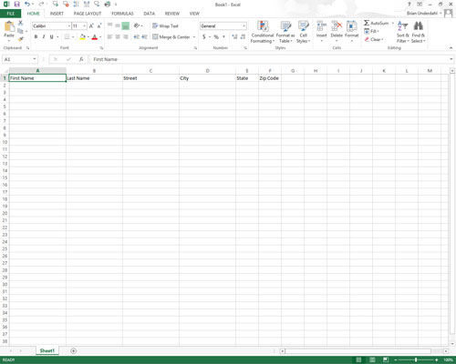 Click the blank cell where you want to start the new data list and then enter the column headings (technically known as <i>field names</i> in database parlance).