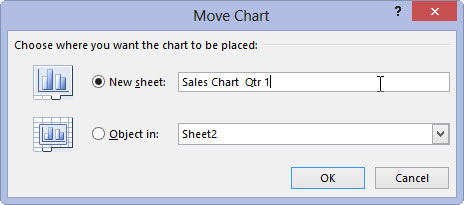 Rename the generic Chart1 sheet name in the accompanying text box by entering a more descriptive name there.