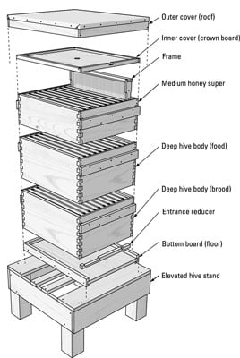 The basic components of a Langstroth hive. [Credit: Illustration by Felix Freudzon, Freudzon Design]