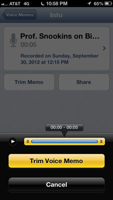 How to Use Voice Memos on Your iPhone - dummies