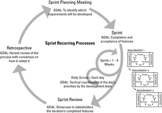 The Function of the Scrum and Sprint Agile Project - dummies