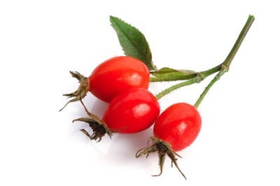 Rose hips improve resistance to infection by stimulating white blood cells, making you resistant to colds, and are commonly used to make immune-building teas.