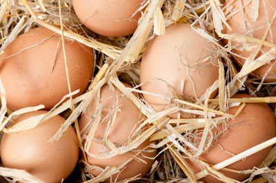 Eggs are amazing: They’re rich in key nutrients, especially fat-soluble vitamins A and D, and the egg yolk is also loaded with brain food and immune-fighting nutrients.