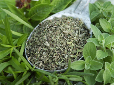 Oregano is your natural protection against infection.