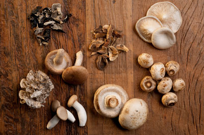 The power of mushrooms comes from their ability to enhance the activity of natural killer T cells (NKT).