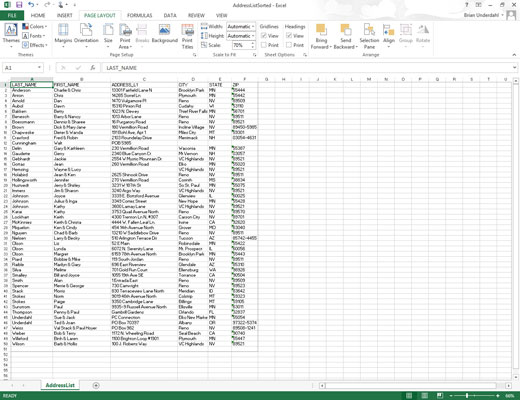 Make all the necessary changes to the worksheet display so that the worksheet window appears exactly as you want it to appear each time you select the view.