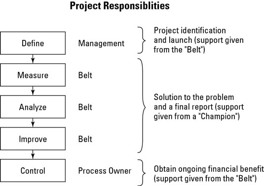 Project responsibilities in Sigma Six.