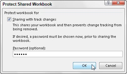 Protect Shared Workbook dialog box in Excel.