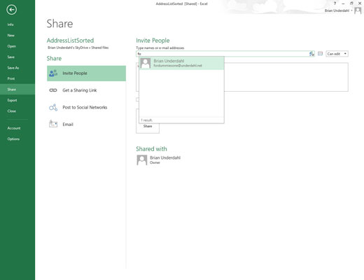 Click the Type Names or E-Mail Addresses text box and then begin typing the e-mail address of the first person with whom you want to share the workbook.